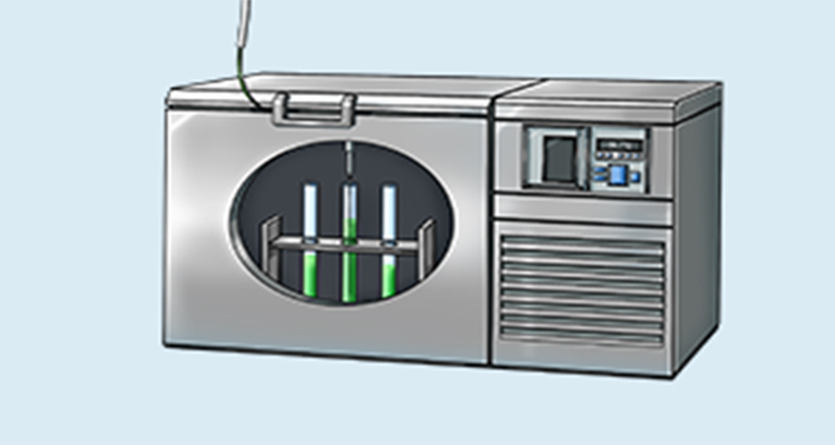 Liquid Tempeature in a Freezer